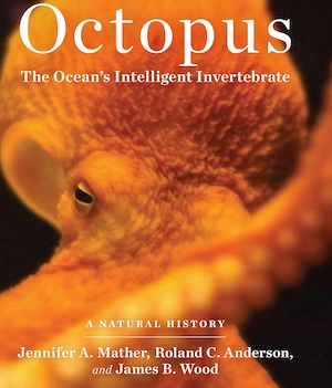 Octopus The Ocean’s Intelligent Invertebrate book cover