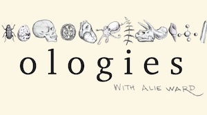Ologies with Alie Ward podcast cover