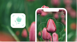 PictureThis plant identification app