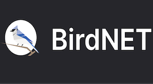 BirdNET bird sound identification app showing audio recording interface