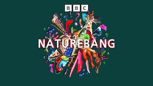 BBC Naturebang podcast cover