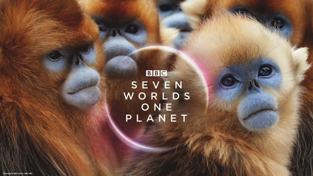 Seven Worlds, One Planet (2019)