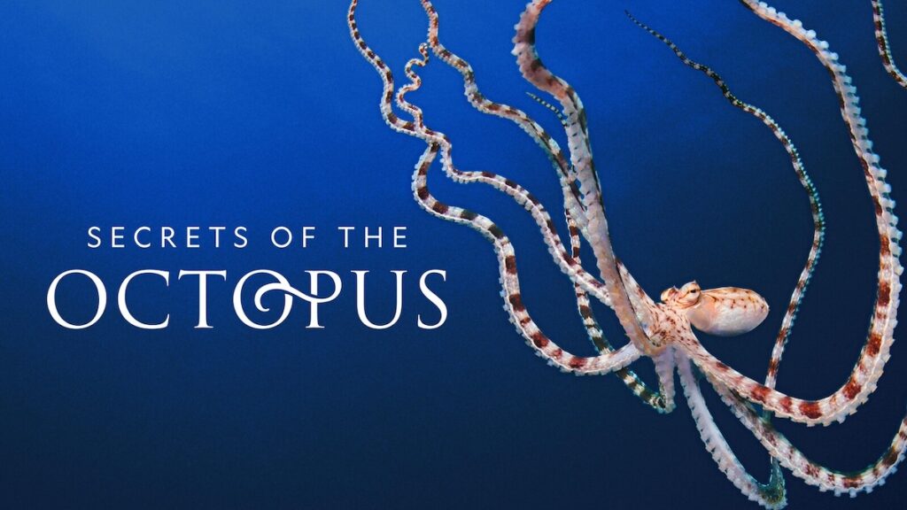 Secrets of the Octopus (2024)