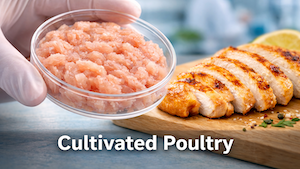 Cultivated Poultry