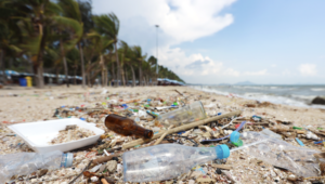 Climate & Environment