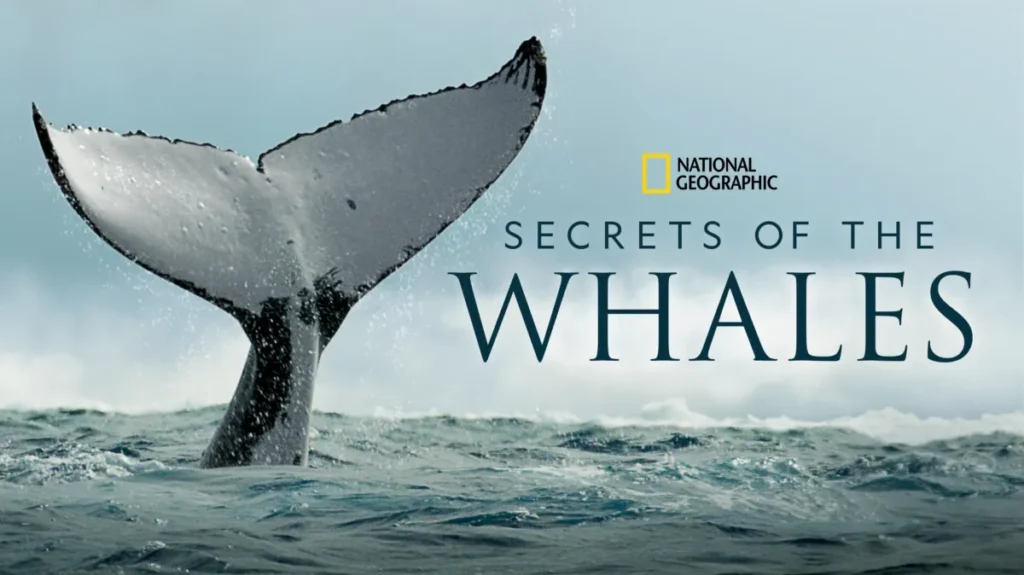 Secrets of the Whales (2021)