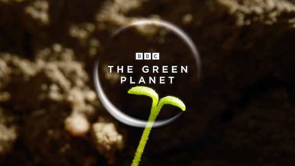 The Green Planet (2022)