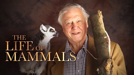 The Life of Mammals (2002–2003)