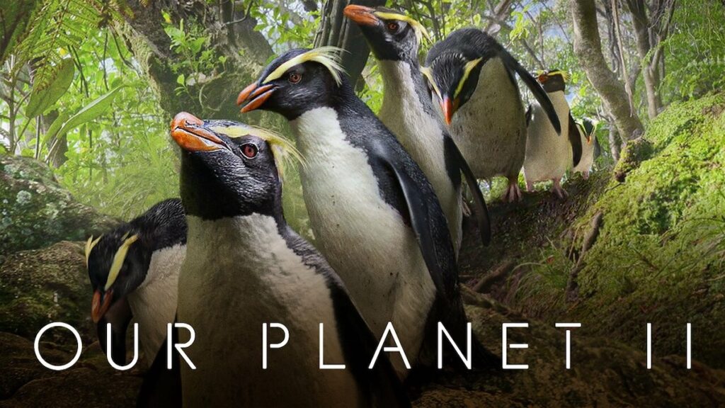 Our Planet II (2023)