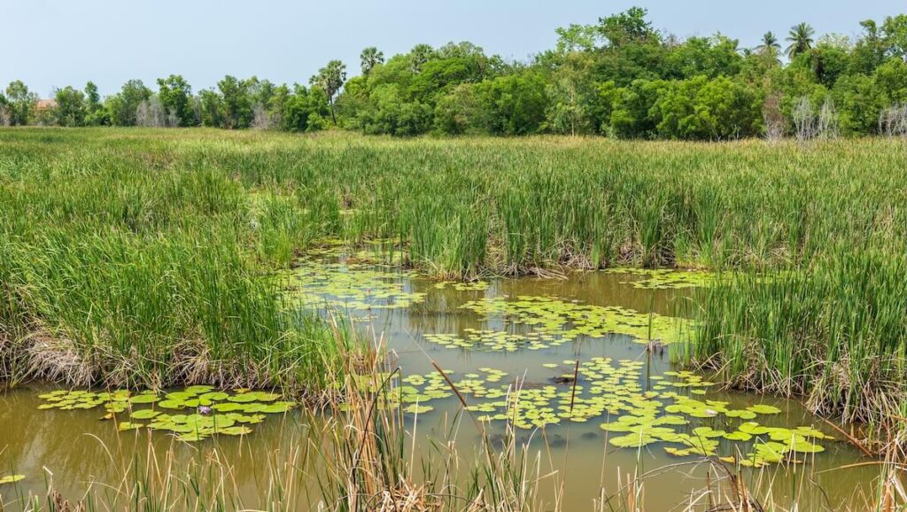 Water and Environment Technologies