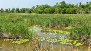 Water and Environment Technologies