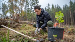 Forest, Land, and Climate